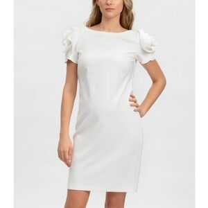 PIETRO BRUNELLI Size M Capri Maternity Punto Milano Rose Sleeve Dress Sheath